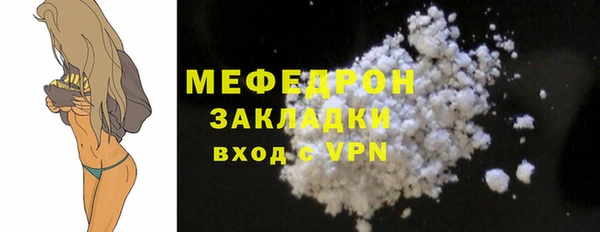 МДПВ Бородино
