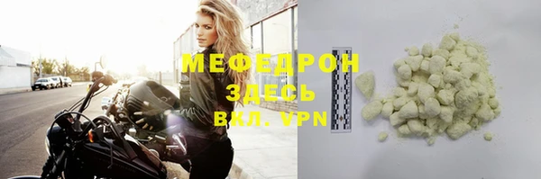 МДПВ Бородино