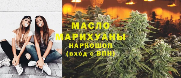 МДПВ Бородино