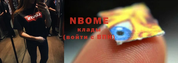МДПВ Бородино