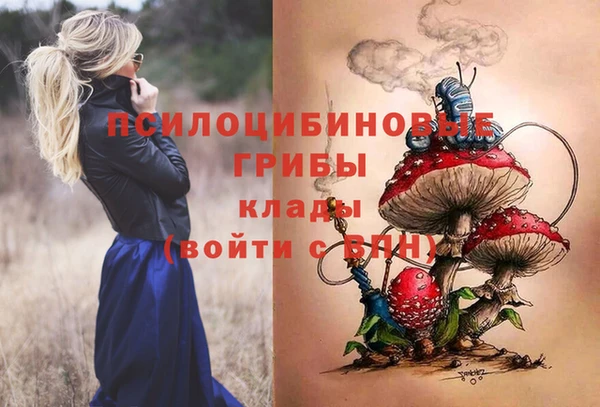 МДПВ Бородино