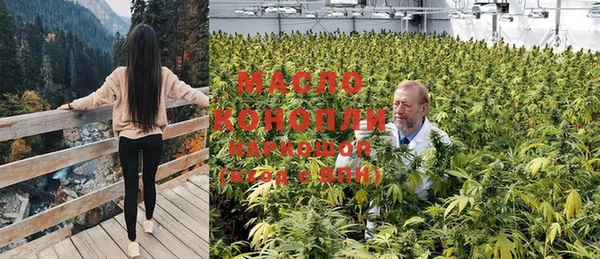 МДПВ Бородино
