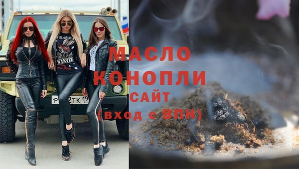 МДПВ Бородино