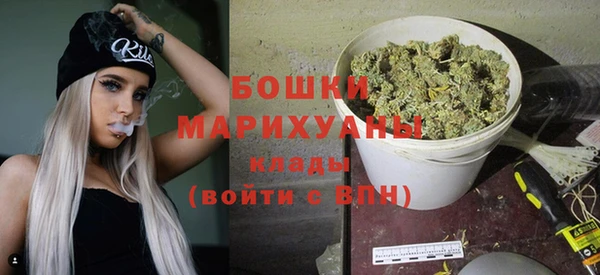 крисы Верхний Тагил
